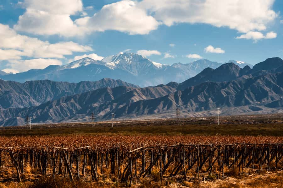 Mendoza: Full Day Wine Tour with 3 Course Lunch - Why Mendoza’s vineyards are worth a full day