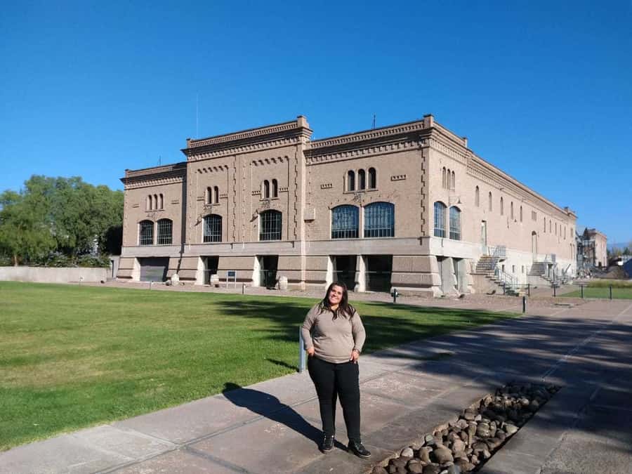 Mendoza: Full Day Wine Tour with 3 Course Lunch - What the winery visits are like