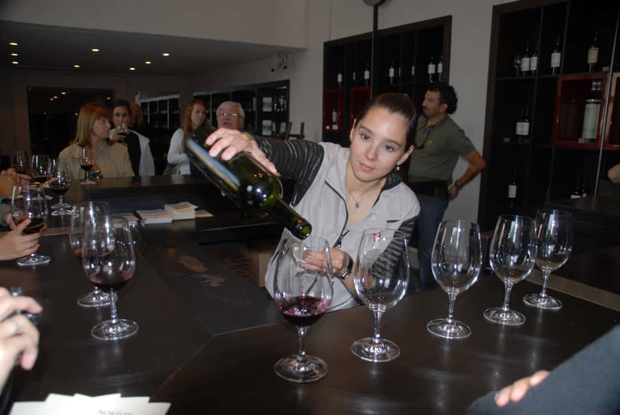 Mendoza: Full Day Wine Tour with 3 Course Lunch - Lunch is a major part of the value