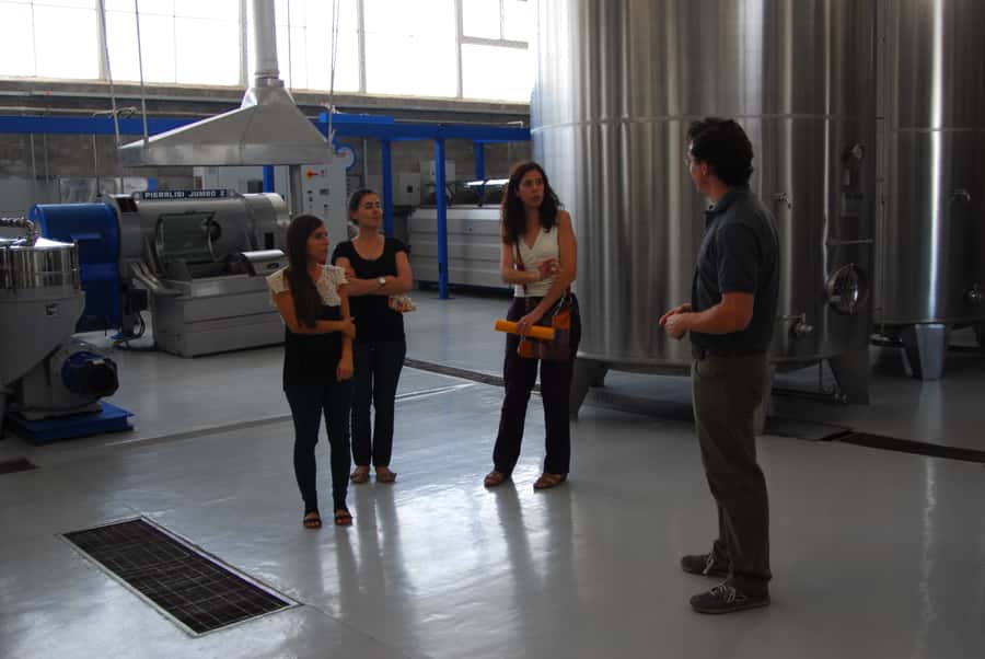 Mendoza: Full Day Wine Tour with 3 Course Lunch - Who will enjoy this Mendoza day