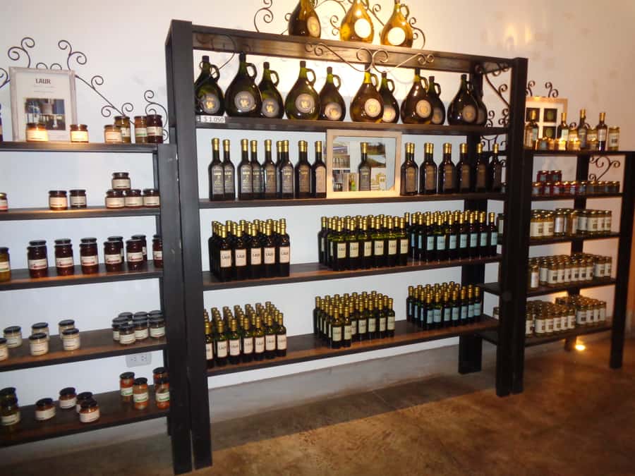 Mendoza: Half-Day Wine Tour with Tastings - Key points at a glance