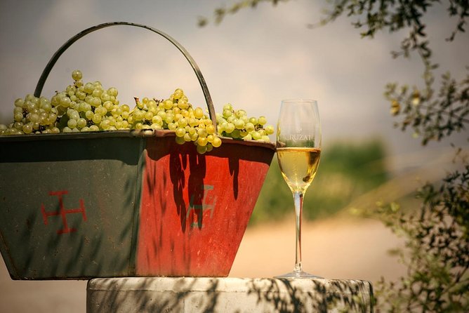 Mendoza Hop-On Hop-Off Wine Tour - What a half-day ticket is best for