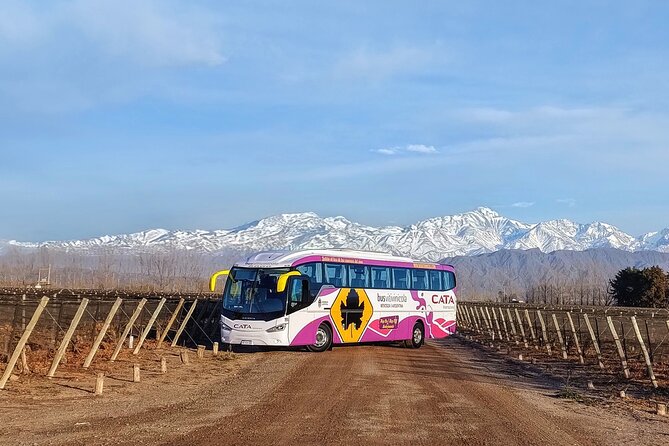 Mendoza Hop-On Hop-Off Wine Tour - The winery selection is not completely open-ended