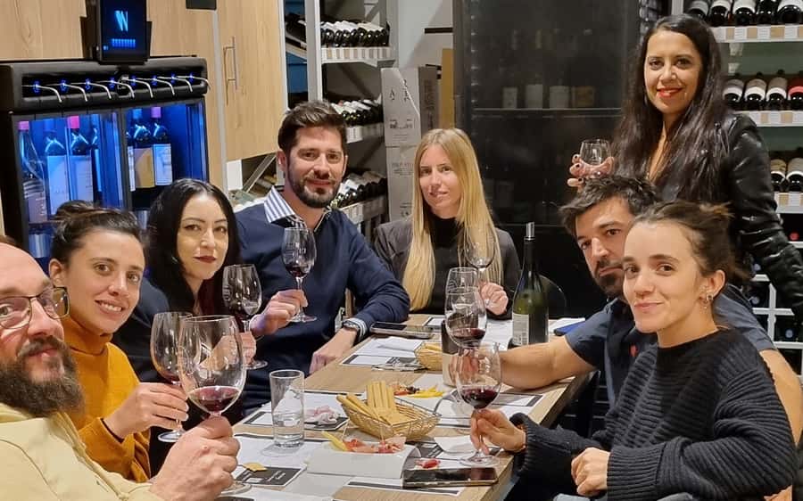 Mendoza: Premium Wine Tasting - Boutique wines and a useful introduction to Mendoza