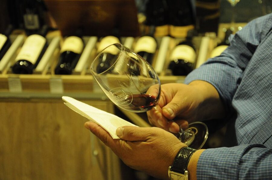 Mendoza: Premium Wine Tasting - Why the food pairing matters