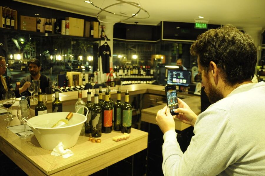 Mendoza: Premium Wine Tasting - Should you book the $66 experience?