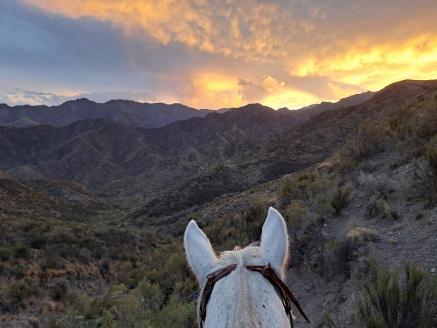 Mendoza: Sunset Horse Back Riding in the Mountains and BBQ - Is $120 a fair price?