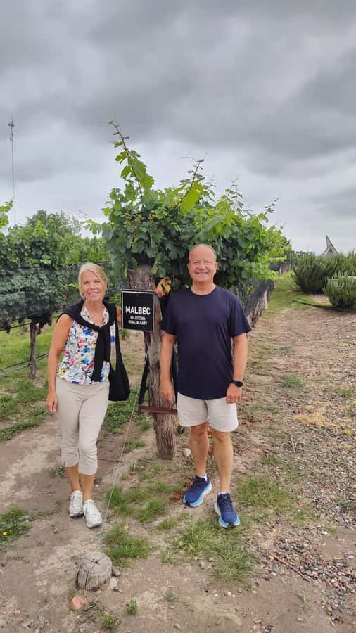 Mendoza: Top Wineries Guided Tour with Transportation - Key points before you book