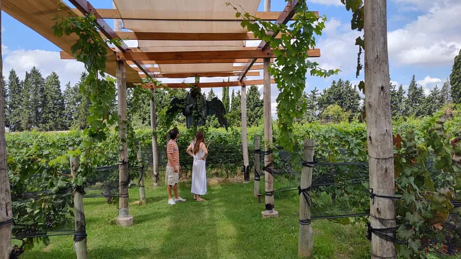 Mendoza: Top Wineries Guided Tour with Transportation - First stop: start with wine, not a rushed photo stop