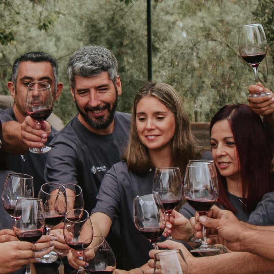 Mendoza: Wine Tasting Tour with Lunch and Private Transport - Key points to know before booking