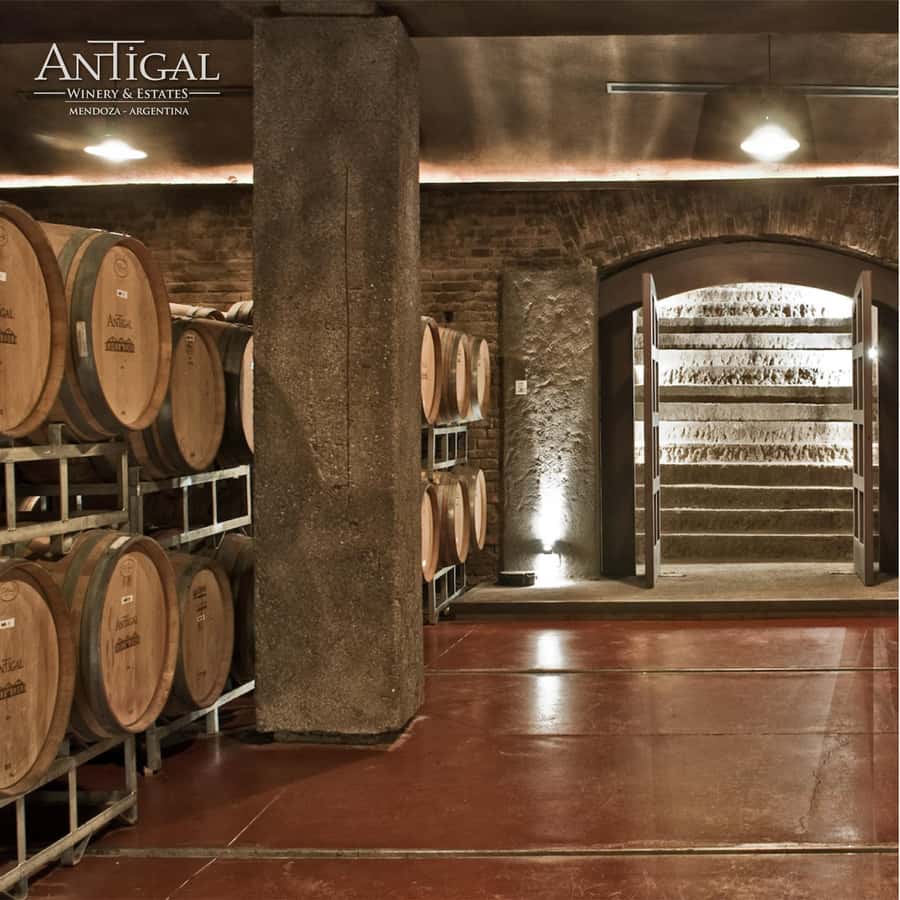 Mendoza: Wine Tasting Tour with Lunch and Private Transport - Should you book this Mendoza wine tour?