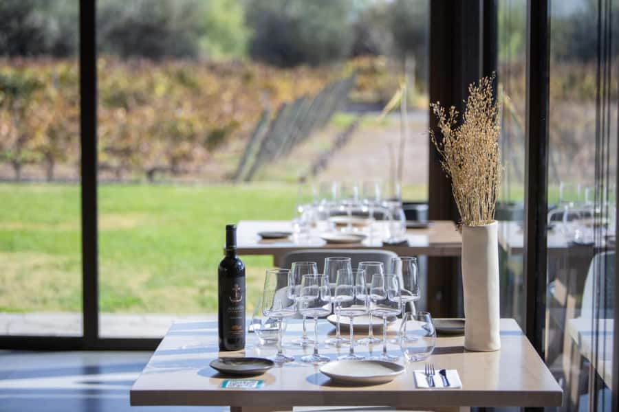 Mendoza: Wine Tasting Tour with Lunch and Private Transport - Why private transport makes Mendoza wine country easier