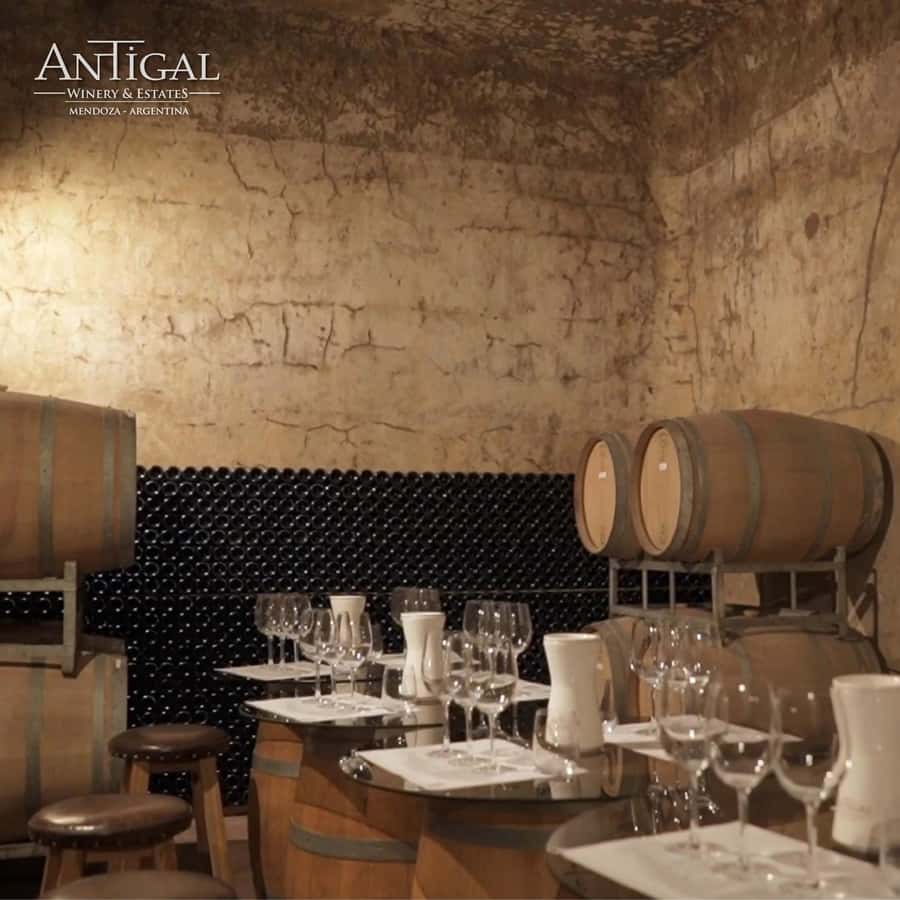Mendoza: Wine Tasting Tour with Lunch and Private Transport - The second winery: more tasting, more comparison