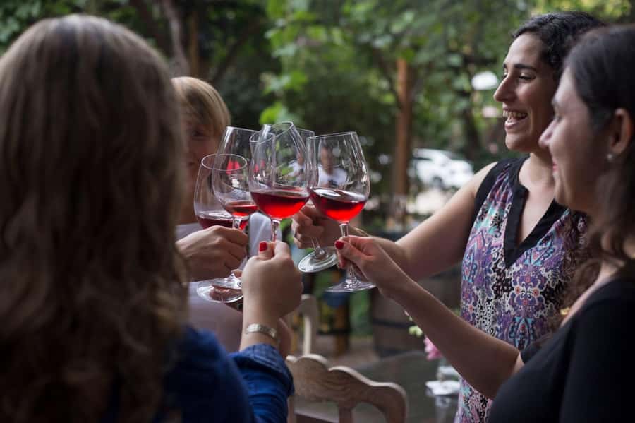 Mendoza: Wine Tasting Tour with Lunch and Private Transport - Who will enjoy this seven-hour outing?