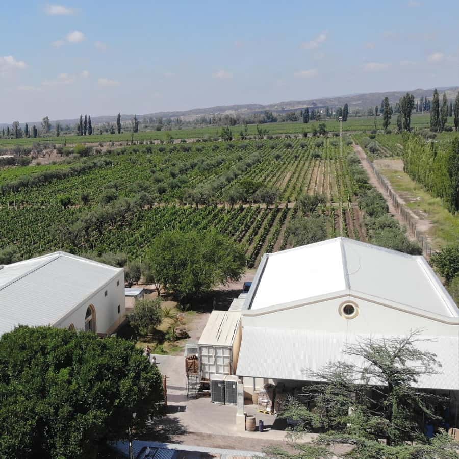 Mendoza: Wine Tasting Tour with Lunch and Private Transport - Small details that make the day run better