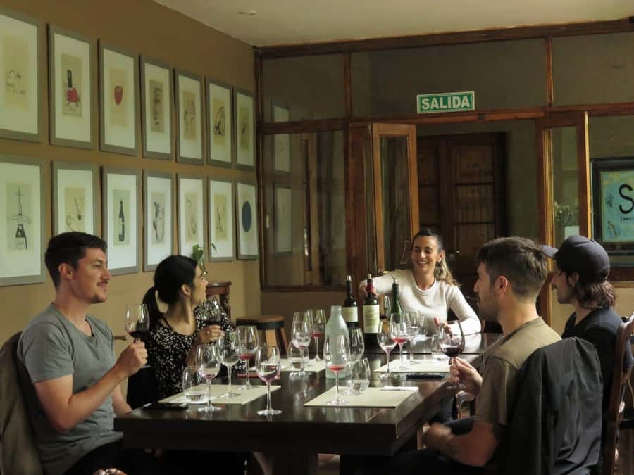 Mendoza: Wine Tasting Tour with Lunch and Private Transport - The first winery: a guided introduction to Mendoza wine