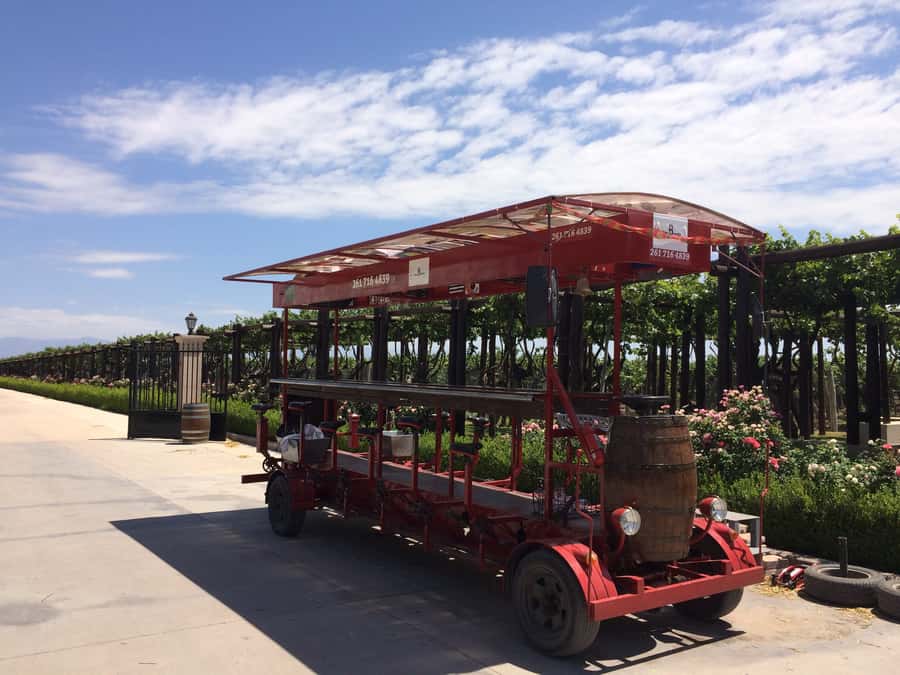 Mendoza: Winebike Tasting Tour with Optional Lunch - Key things to know before you book