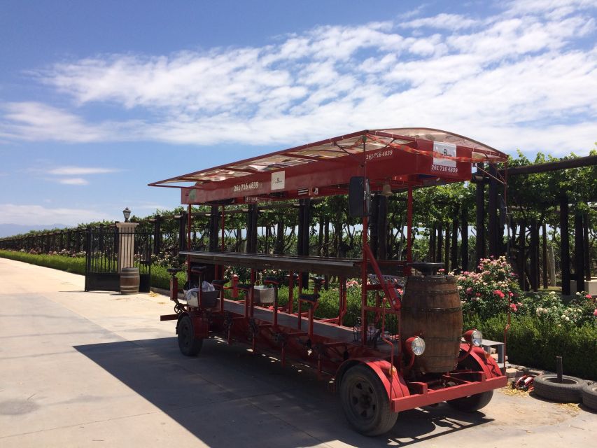 Mendoza: Winebike Tasting Tour with Optional Lunch - Who will enjoy this tour most