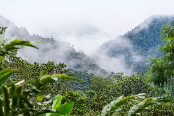 Mindo Cloud Forest Full Day Tour from Quito - Key points at a glance