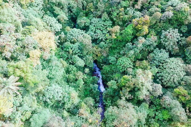 Mindo Cloud Forest Full Day Tour from Quito - Waterfall time, wet paths, and fitness