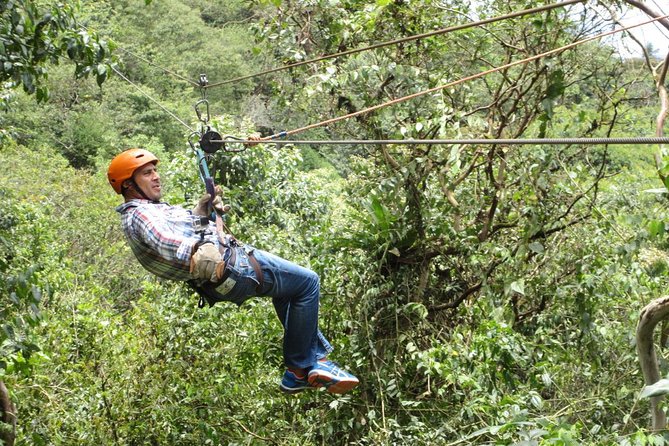 Mindo Cloud Forest Full Day Tour from Quito - Mariposas de Mindo and its cloud of butterflies