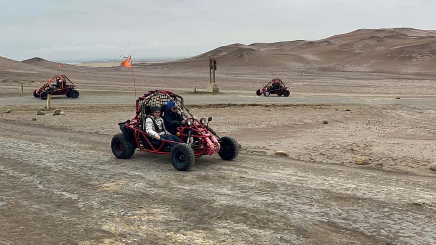 Mini Buggy GO KART in Paracas National Reserve - Key points before you book