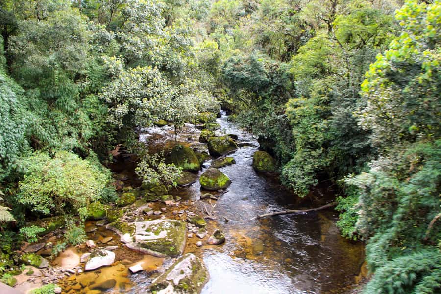 Morretes: Full Day Colonial Town Tour from Curitiba - Hisgeopar and the return through Paraná
