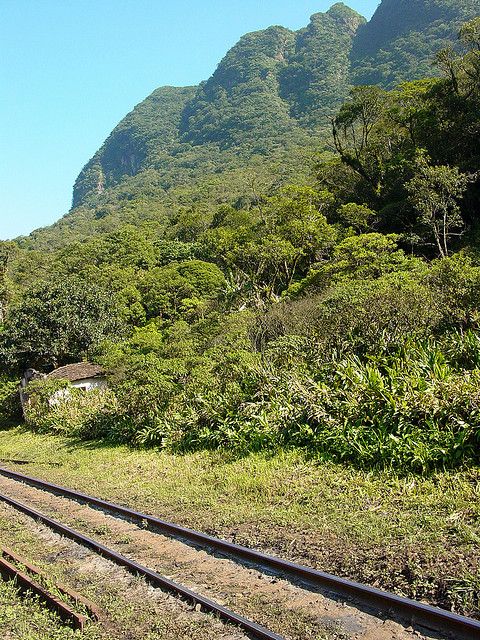 Morretes: Full Day Colonial Town Tour from Curitiba - The road back along Estrada da Graciosa