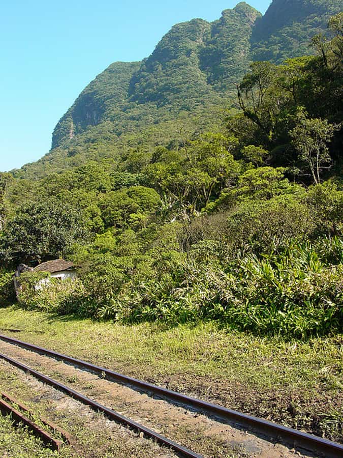 Morretes: Full Day Colonial Town Tour from Curitiba - What the $176 price includes