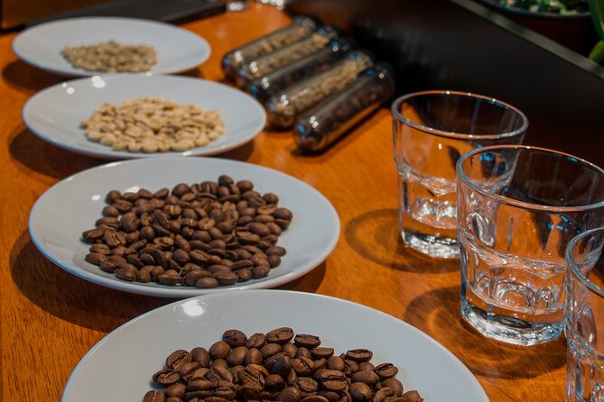 N1 Coffee Tasting Experience in Buenos Aires - The first lesson: from planted seed to finished cup