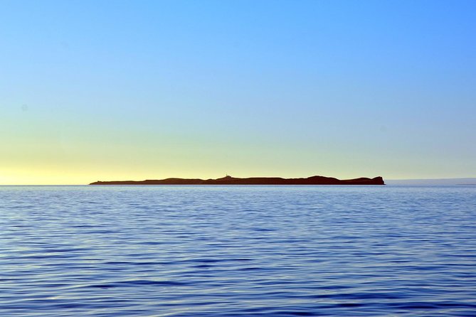 Navigation Magdalena Island and Marta - Crossing the Strait of Magellan before the wind rises