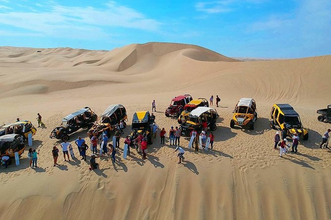 Nazca Lines and Dune Buggy (Huacachina) from Ica - Seeing the Nazca Lines from a small plane
