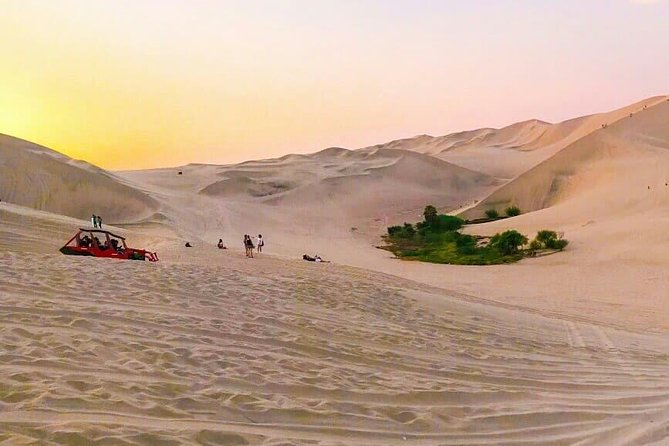 Nazca Lines and Dune Buggy (Huacachina) from Ica - Huacachina, sandboarding, and the buggy ride