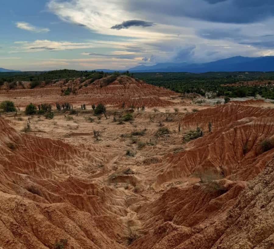 Neiva: Guided Day Trip to the Tatacoa Desert with Lunch - Key points to know before booking
