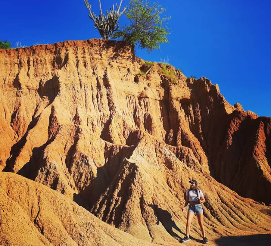 Neiva: Guided Day Trip to the Tatacoa Desert with Lunch - Why Tatacoa works so well as a day trip from Neiva