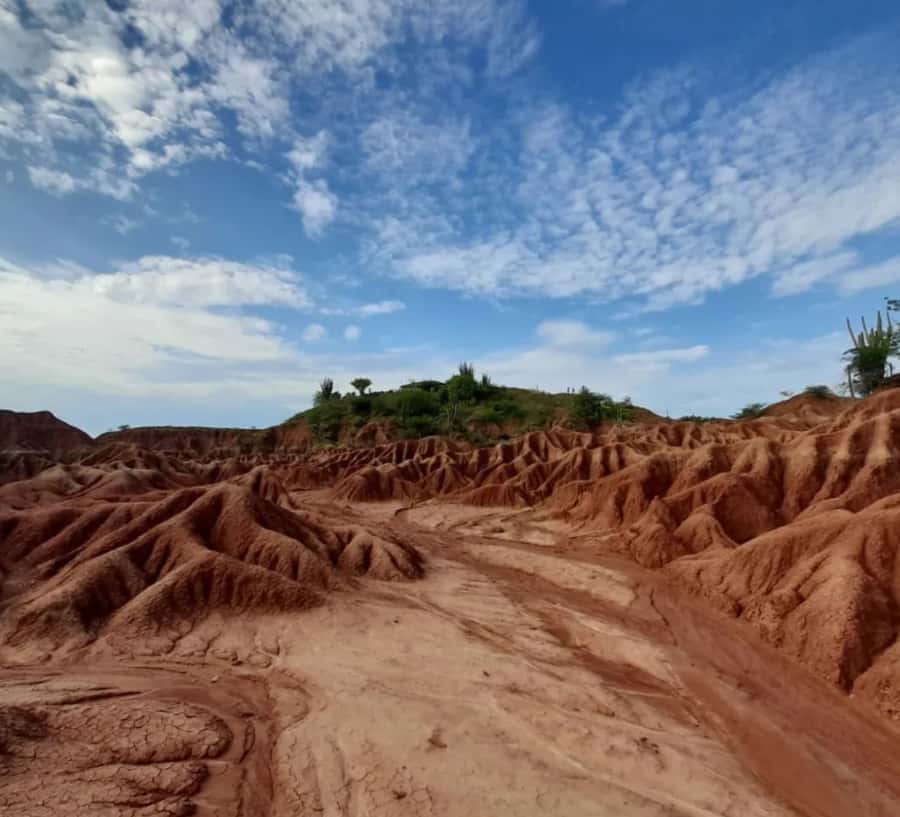 Neiva: Guided Day Trip to the Tatacoa Desert with Lunch - Villavieja and the Paleontological Museum