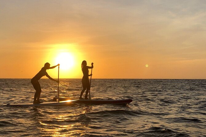 Paddleboard Tour - Why this paddleboard ride is different in Cartagena