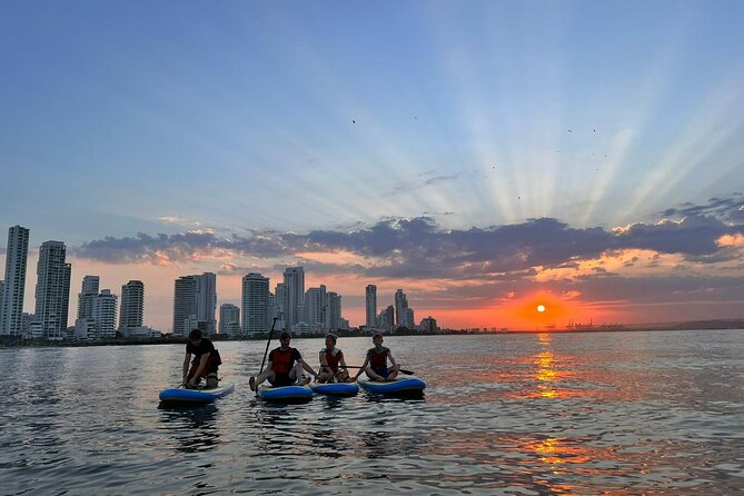 Paddleboard Tour - The lesson before the water