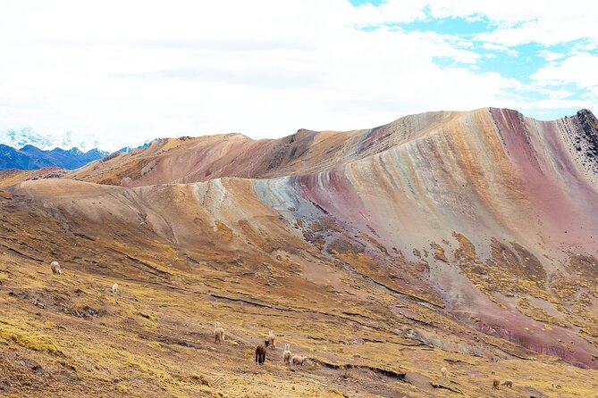 Palccoyo Rainbow Mountain Full Day Tour from Cusco - The 45-minute walk that can take two hours