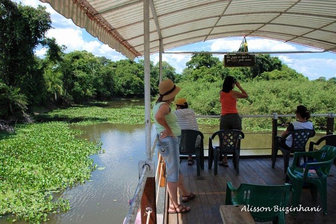 Pantanal Day Trip - All Inclusive - Leaving Campo Grande - Guide language, group size, and comfort