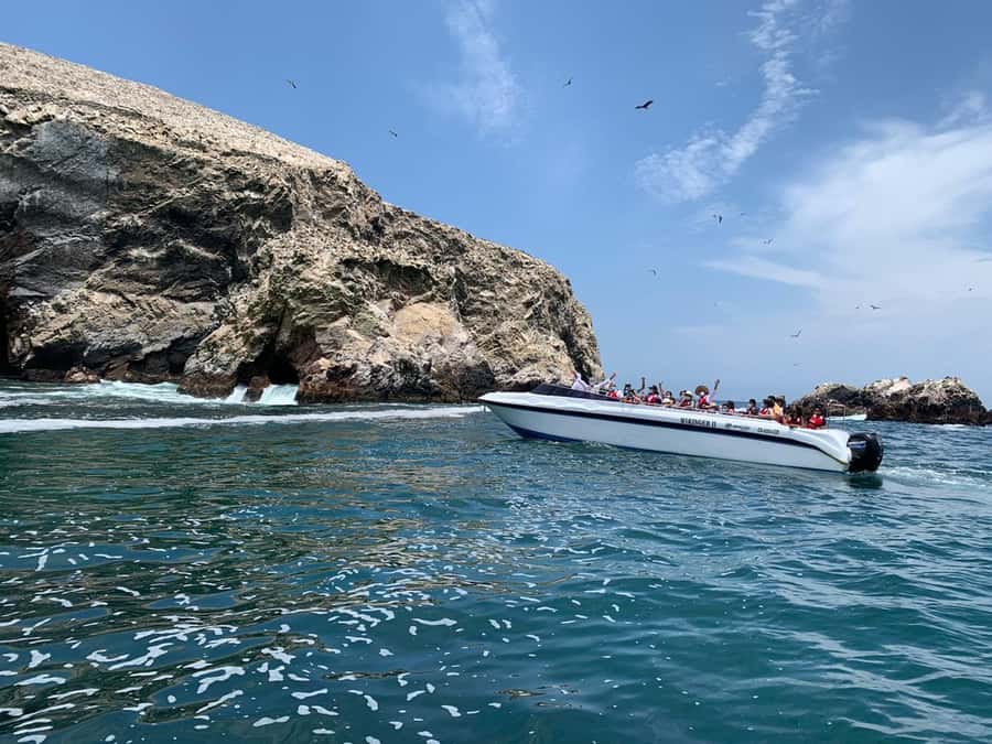Paracas: Ballestas Island & Nature Reserve all inclusive - What the guides add to the day