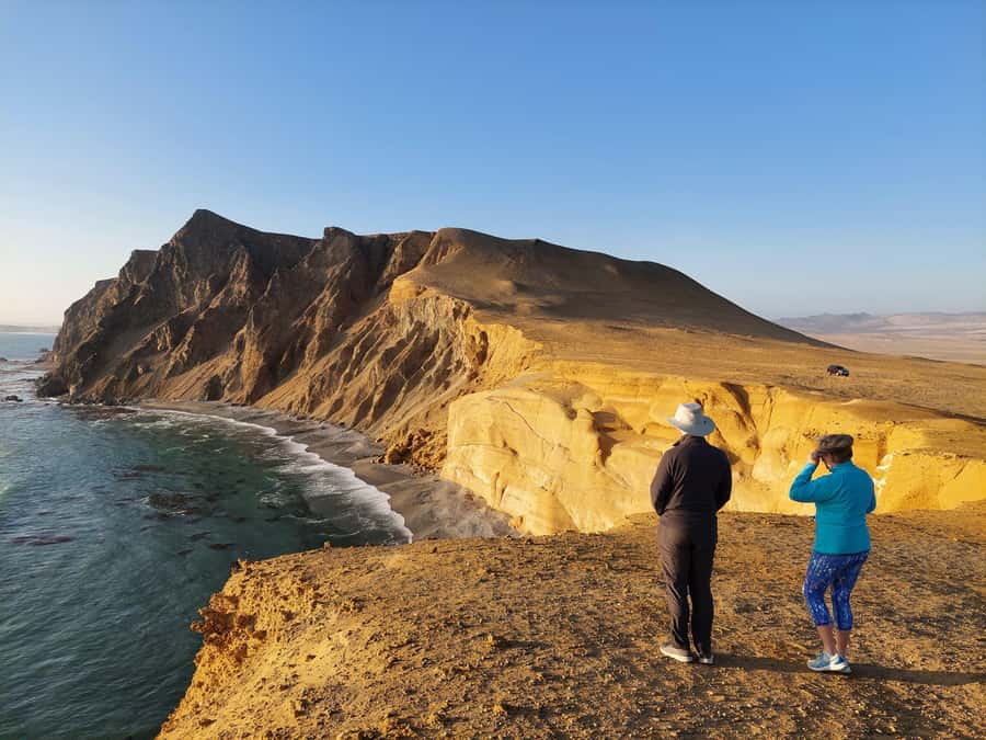 Paracas: Ballestas Island & Nature Reserve all inclusive - Ballestas Islands, sea lions, and Humboldt penguins