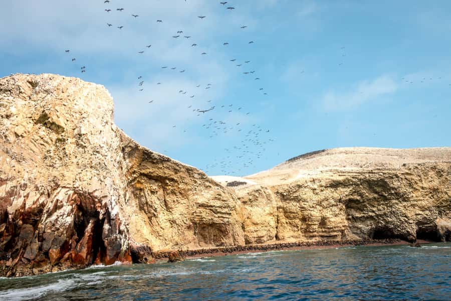 Paracas: Ballestas Island & Nature Reserve all inclusive - Inside Paracas National Reserve by private vehicle