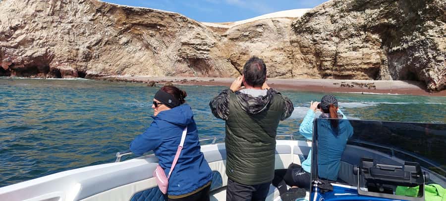 Paracas: Ballestas Island & Nature Reserve all inclusive - Catedral viewpoint and the broad Paracas coast