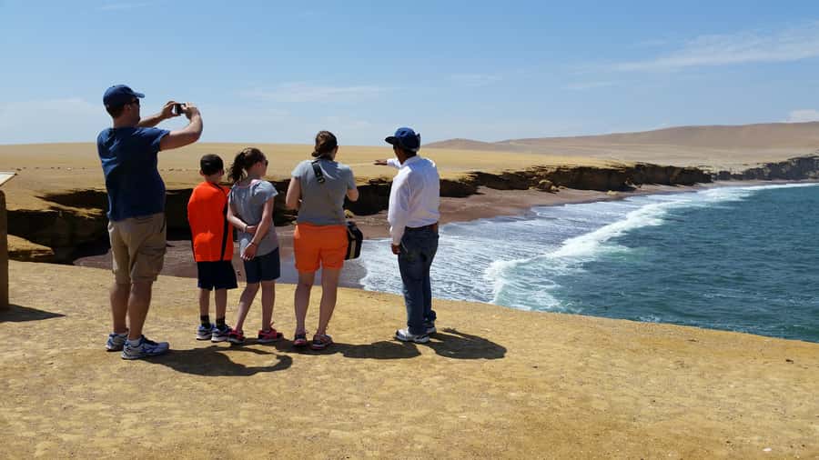Paracas: Ballestas Island & Nature Reserve all inclusive - The Candelabro appears before the wildlife