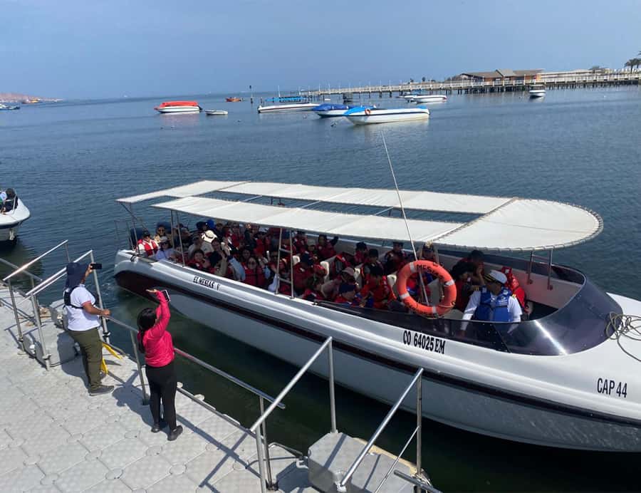 Paracas: Ballestas Islands Morning Boat Tour - Five things to know before boarding