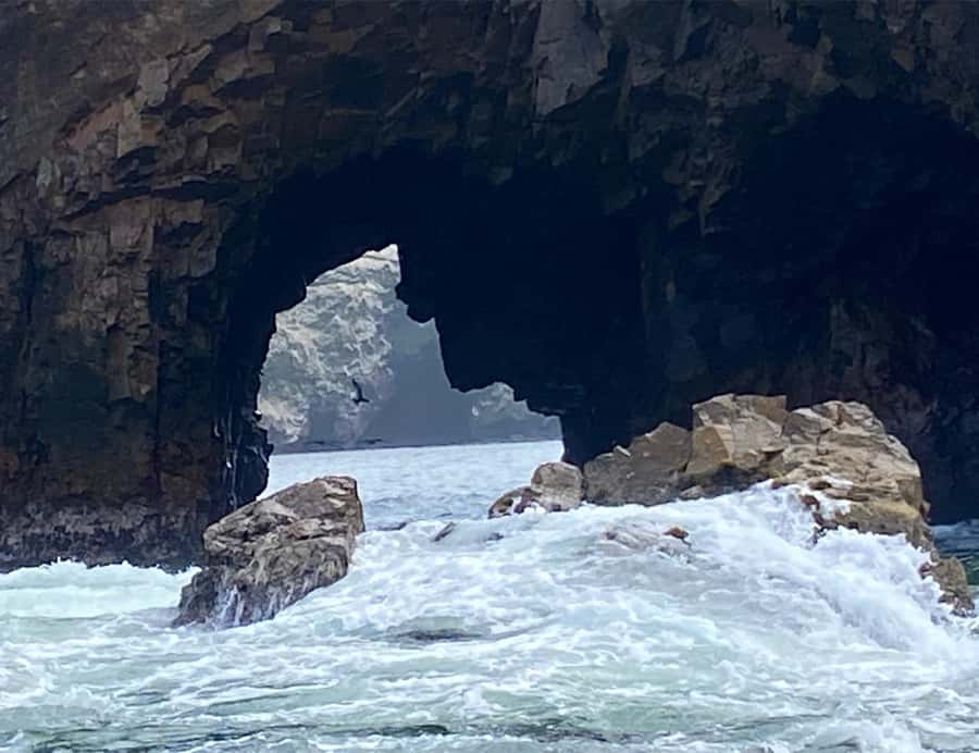 Paracas: Ballestas Islands Morning Boat Tour - Ballestas Islands, Peru’s small wildlife theater