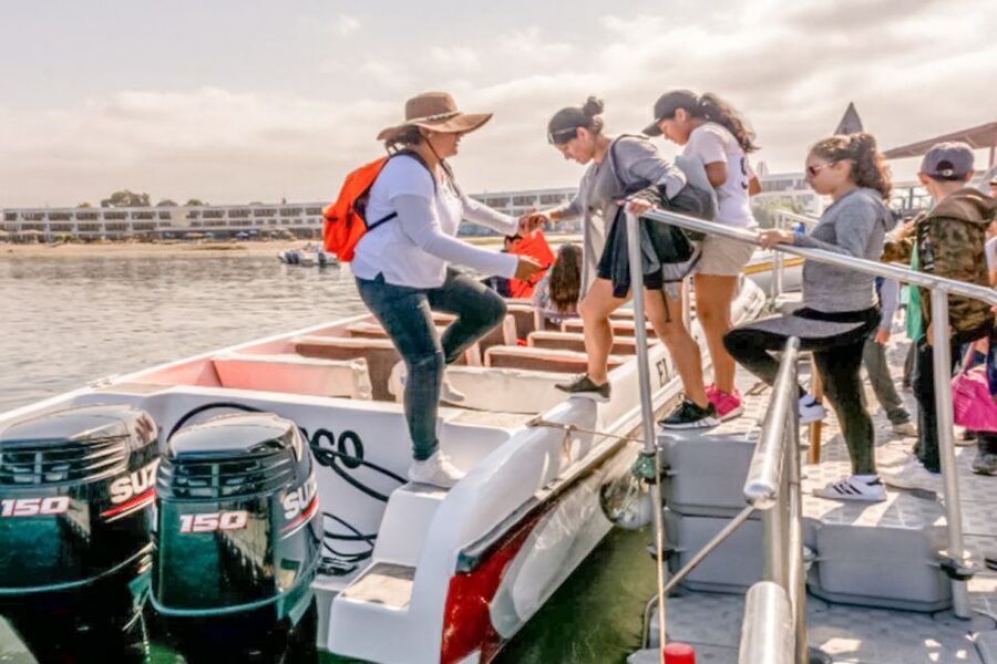 Paracas: Ballestas Islands Morning Boat Tour - Penguins, sea lions, and a sky full of birds