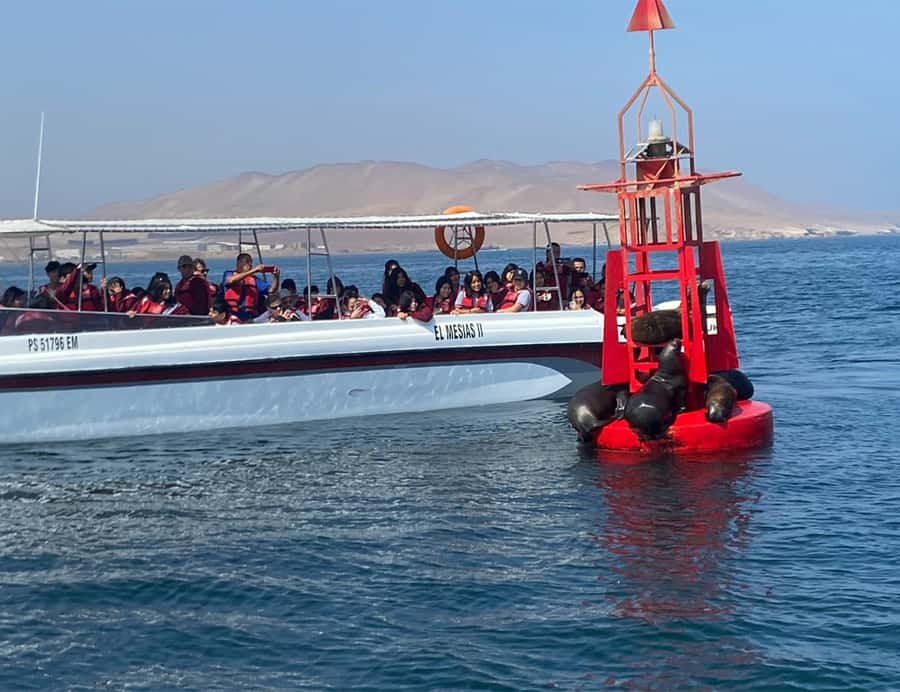 Paracas: Ballestas Islands Morning Boat Tour - Boat position, photo tips, and comfort