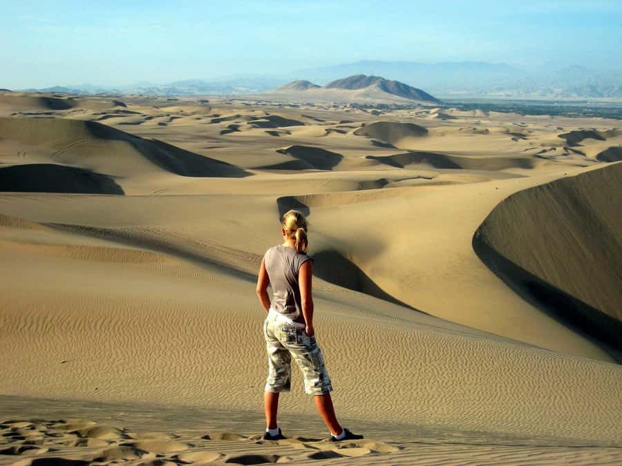 Paracas or Pisco: Private Huacachina Oasis Tour & Buggy Ride - From Paracas to Ica by private vehicle